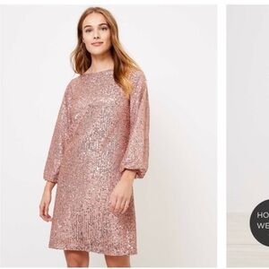 Loft Sequin Ballon Sleeve Dress NWT